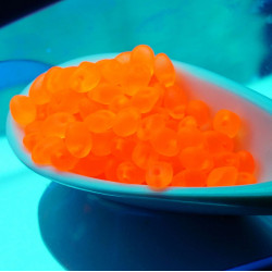 20g Oranžová Neon české Sklo Solo rokajl UV Active Orange Neon Korálky PRECIOSA Lisované Korálky Perly Rocaille Korálek Sólo