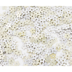 20g Metallic Light Silver Gold Holo Květ Tvaru Flitry Konfety tv s Plochou Paillettes Šít Na Brož Výšivky 4mm Otvor 1mm
