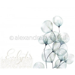 Jednostranný Papír Na Scrapbook (1ks) Eucalyptus Renke Alexandra 30 30 Příroda Papíry Listy Potiskem Scrapbooking