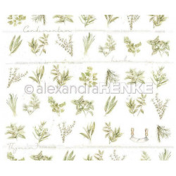 Jednostranný Papír Na Scrapbook (1ks) Small Herbs Renke Alexandra 30 30 Příroda Papíry Listy Potiskem Scrapbooking