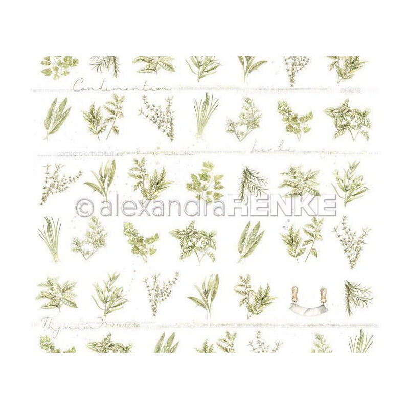 Jednostranný Papír Na Scrapbook (1ks) Small Herbs Renke Alexandra 30 30 Příroda Papíry Listy Potiskem Scrapbooking