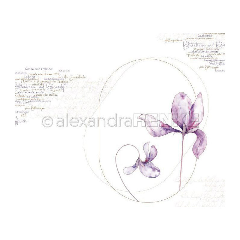 Jednostranný Papír Na Scrapbook (1ks) Violet Oval Renke Alexandra 30 30 Příroda Papíry Listy Potiskem Scrapbooking