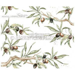 Jednostranný Papír Na Scrapbook (1ks) Olive Branches Renke Alexandra 30 30 Příroda Papíry Listy Potiskem Scrapbooking