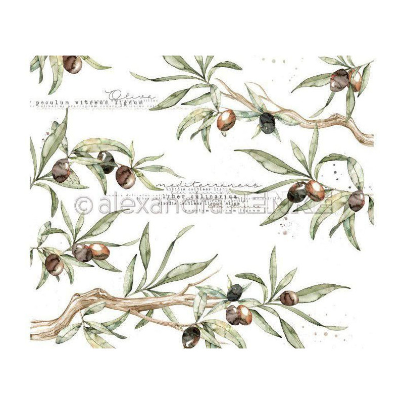 Jednostranný Papír Na Scrapbook (1ks) Olive Branches Renke Alexandra 30 30 Příroda Papíry Listy Potiskem Scrapbooking