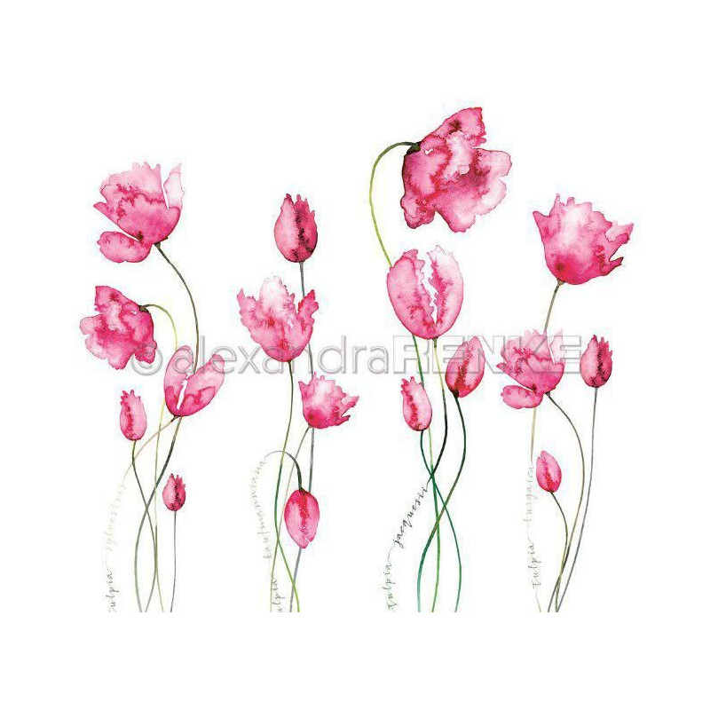 Jednostranný Papír Na Scrapbook (1ks) Many Tulips Pink Renke Alexandra 30 30 Příroda Papíry Listy Potiskem Scrapbooking