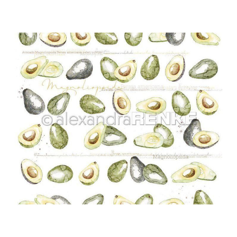 Jednostranný Papír Na Scrapbook (1ks) Avocado Pattern Renke Alexandra 30 30 Příroda Papíry Listy Potiskem Scrapbooking