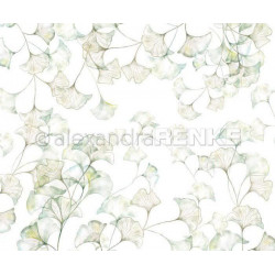 Jednostranný Papír Na Scrapbook (1ks) Ginkgo Leaves Renke Alexandra 30 30 Příroda Papíry Listy Potiskem Scrapbooking