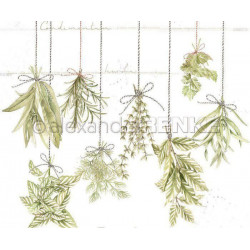 Jednostranný Papír Na Scrapbook (1ks) Hanging Herbs Renke Alexandra 30 30 Příroda Papíry Listy Potiskem Scrapbooking