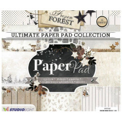 Sada Papírů 15x15cm (36ks) Č.87 Frozen Forest Studio Light Papíry Potiskem Scrapbooking