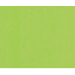 Fotokarton (10ks) 50x70cm Chartreuse 300g/m2 Ursus Papíry Jednobarevné, Scrapbooking