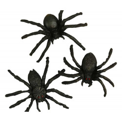 Spiders CC 525121