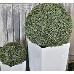 Buxus se třpytkami 58 cm