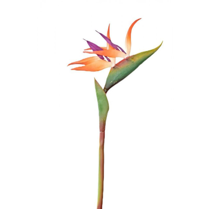 Umělá Strelitzia 86 cm