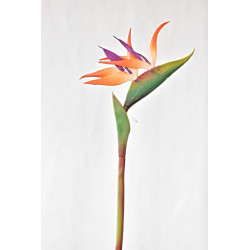 Umělá Strelitzia 86 cm