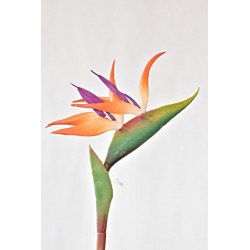 Umělá Strelitzia 86 cm