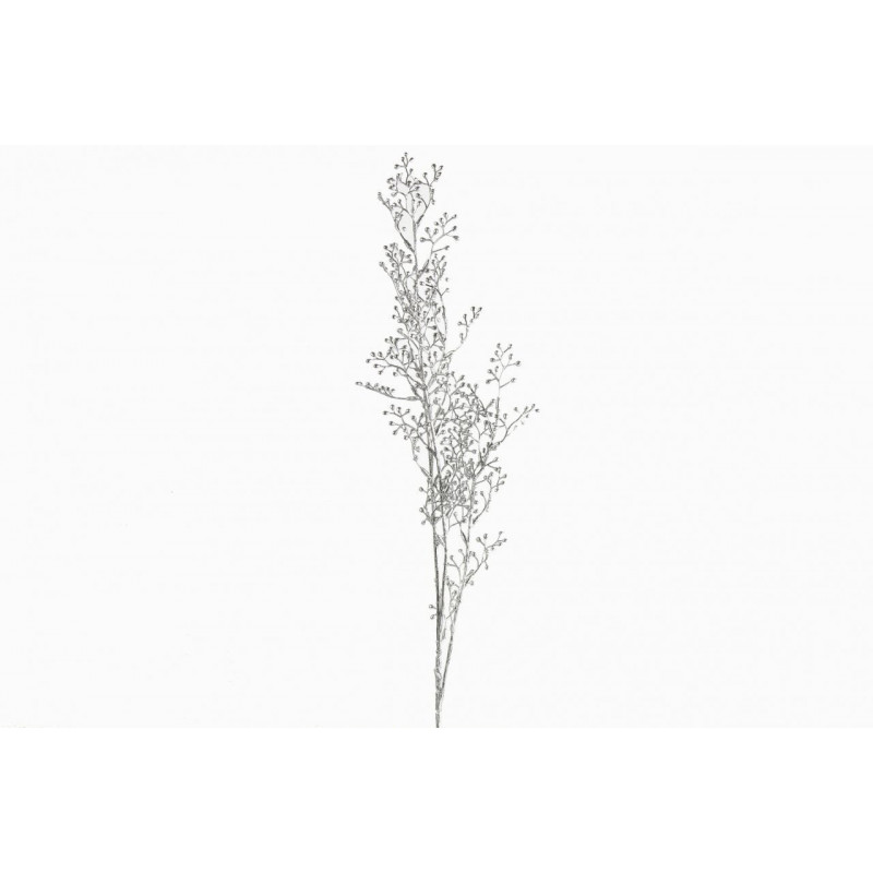 Rumex acetosa silver 81 cm