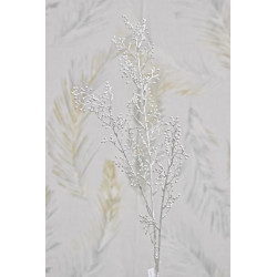 Rumex acetosa silver 81 cm