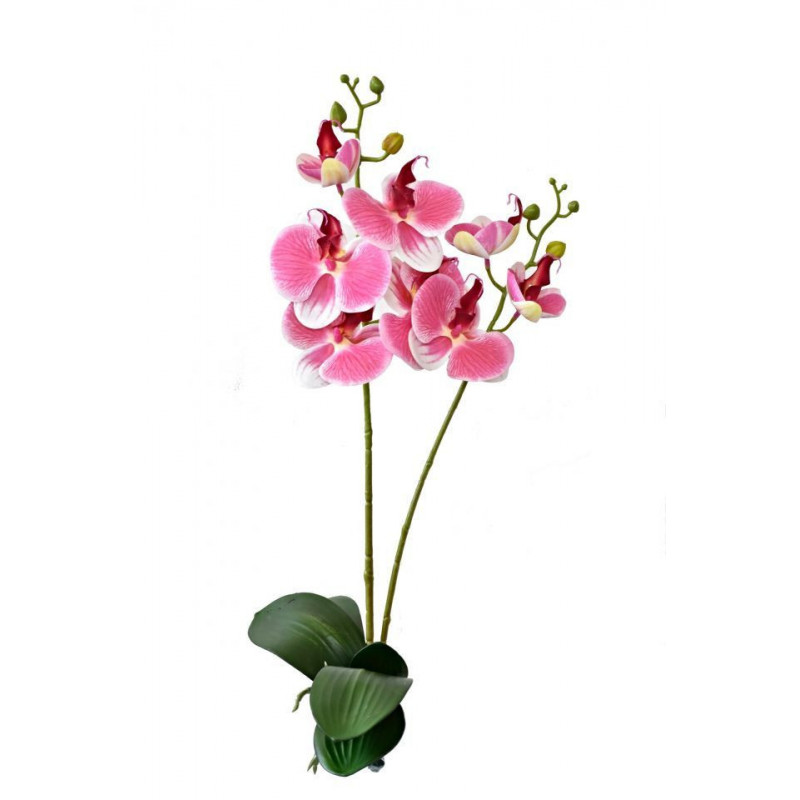 Orchidej Phalaenopsis 57 cm růžová