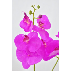 Orchidej Phalaenopsis 57 cm fialová