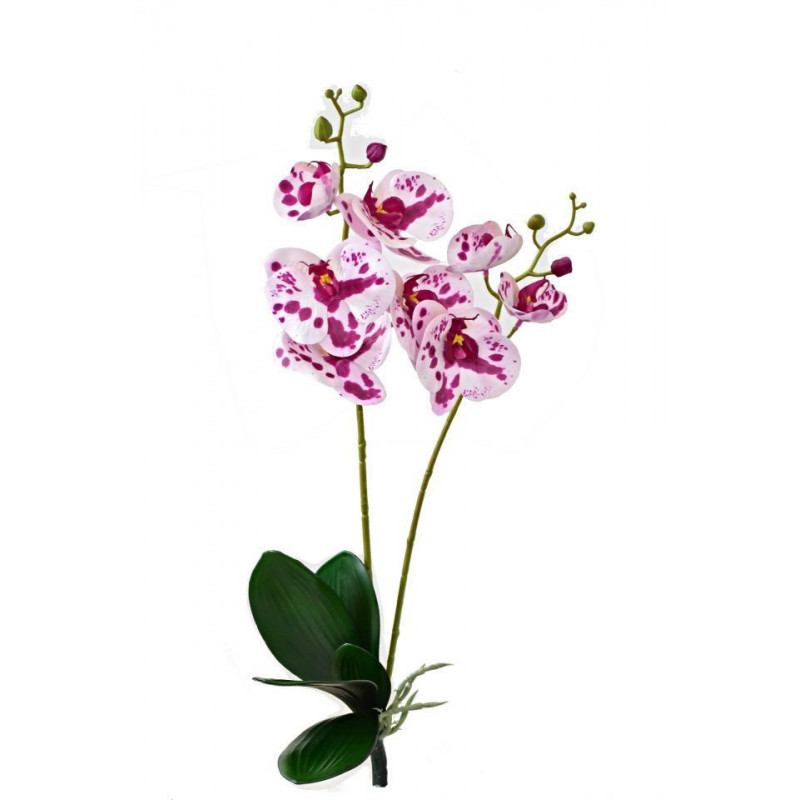 Orchidej Phalaenopsis 58 cm růžová