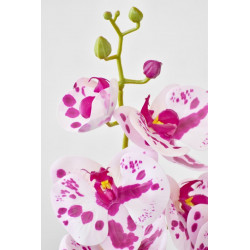 Orchidej Phalaenopsis 58 cm růžová