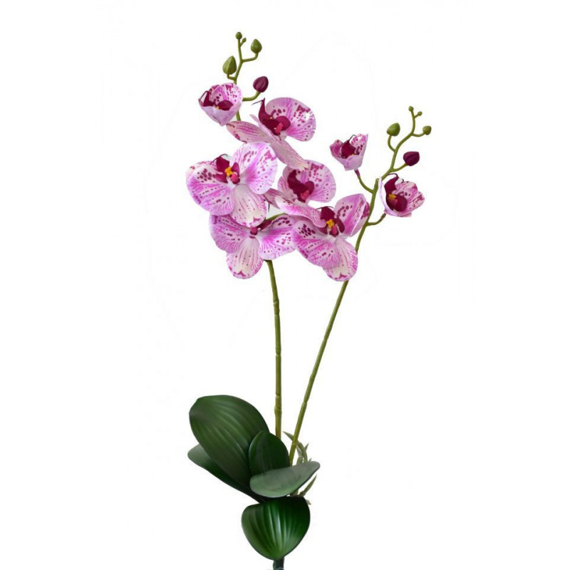 Orchidej Phalaenopsis 58 cm růžová