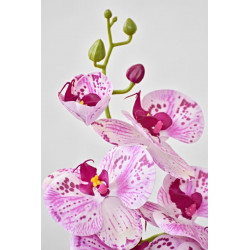 Orchidej Phalaenopsis 58 cm růžová