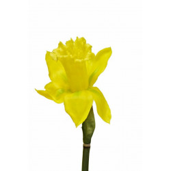 Narcis žlutý 54 cm 2 ks