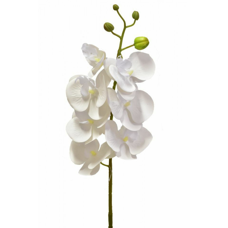 Orchidej Phalaenopsis 74 cm 7 květů, bílá