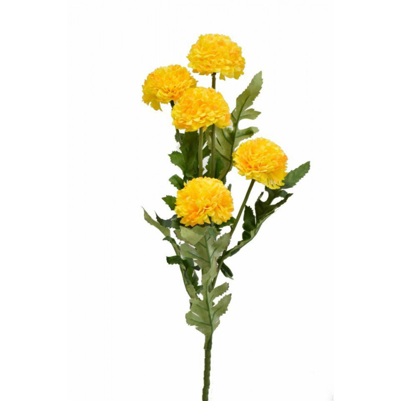 Tagetes 67 cm žlutý