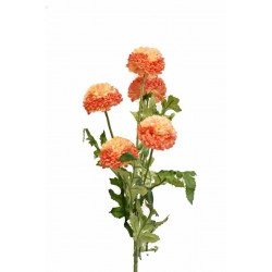 Tagetes 67 cm oranžový