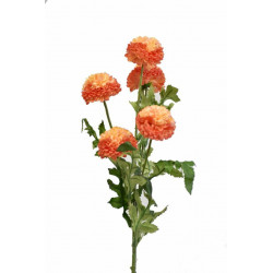 Tagetes 67 cm oranžový