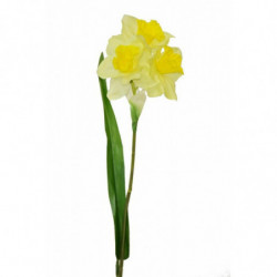 Narcis světle žlutý 40 cm 12 ks