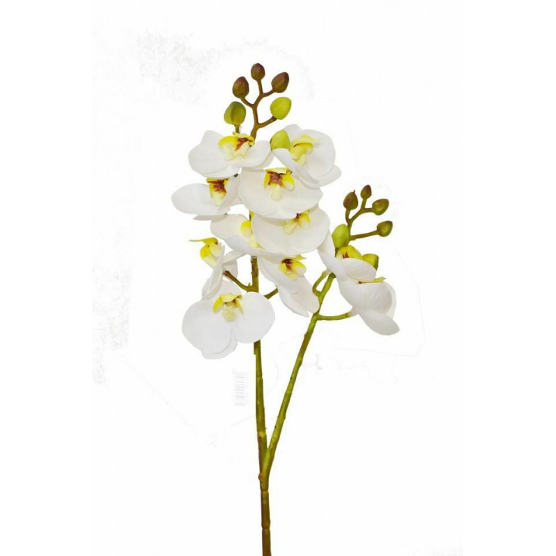 Phalaenopsis 60 cm bílý