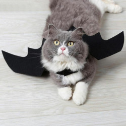 Plstěný Halloween Pet Dressing Black Bat Wing 45cm (17 6/8") x 16cm (6 2/8"), 1 kus