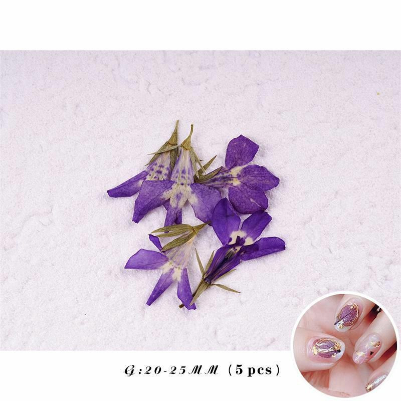 Skutečné sušené květiny Nail Art dekorace DIY Craft Purple 1 sada (5 ks / sada)