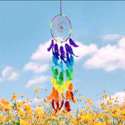 Visící dekorace Dream Catcher Multicolor Peather 87cm x 20cm 1 kus