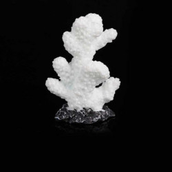 Bílá pryskyřice Coral Simulace mikro krajiny miniaturní akvárium dekorace 3.5x2. 2x5. 8cm 1 kus