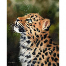 Malování podle čísel - ZVĚDAVÝ LEOPARD na rámu 40 x 50 cm fa_fa10078-y