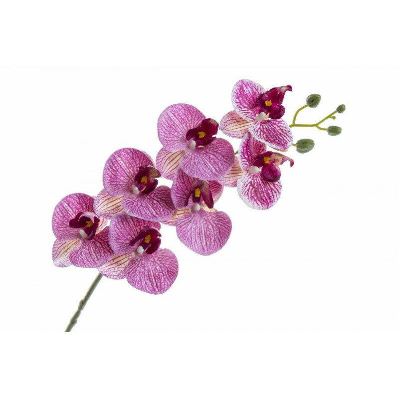 Orchidej Phalaenopsis 77 cm fialový